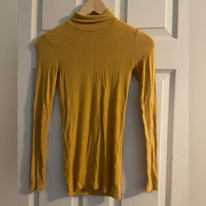 🌸3/$25 Wilfred Turtleneck​​​